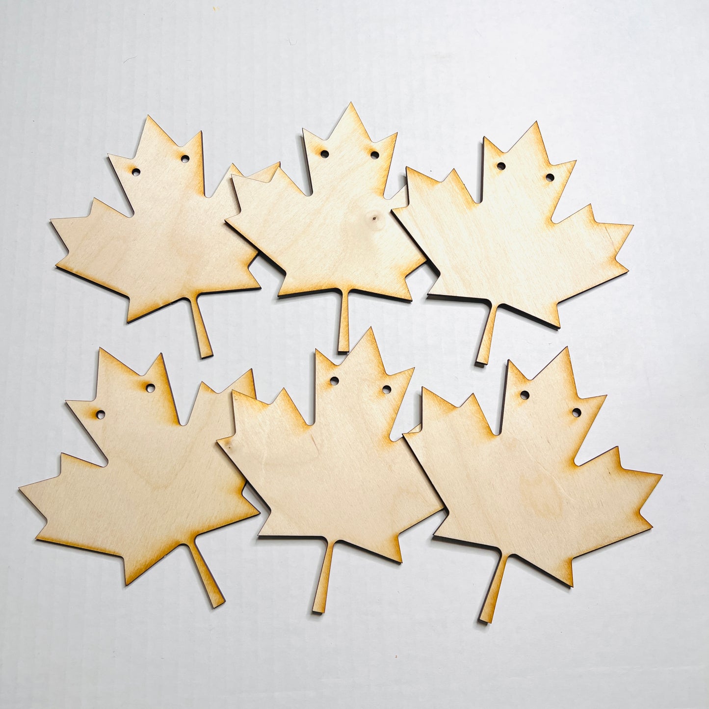DIY Fall Leaf Banner - Free Shipping