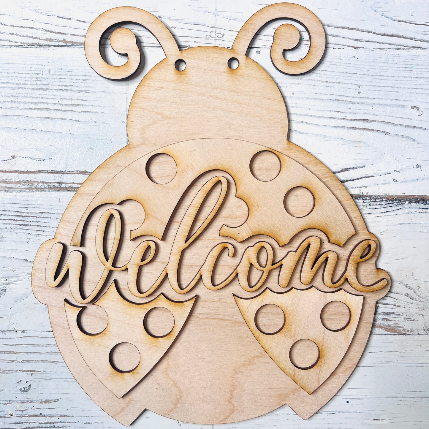 Ladybug Door Hanger - Free Shipping